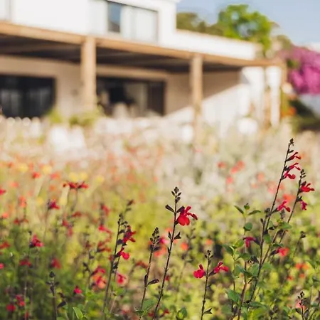 Casa Paradisu Ξενοδοχείο 5*