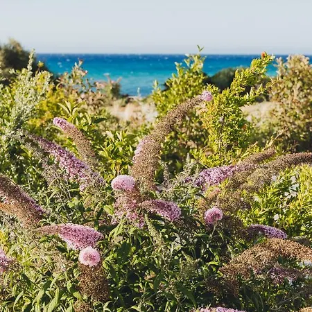 Casa Paradisu Ξενοδοχείο 5*