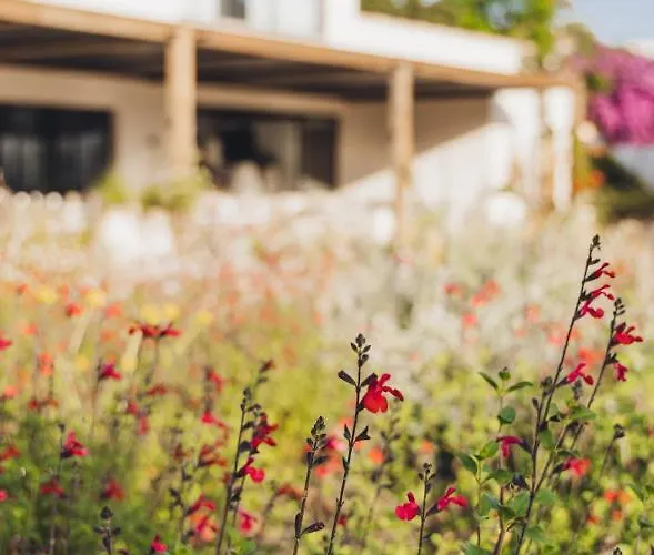 Casa Paradisu Hotel 5*