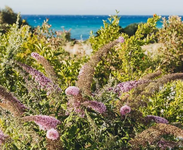 Casa Paradisu Hotel 5*